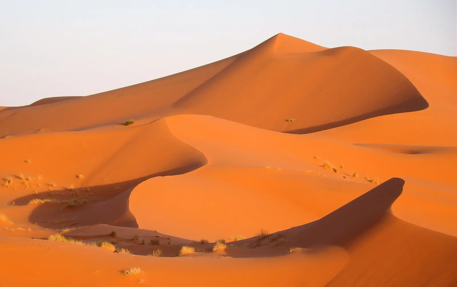 Sahara (Merzouga)